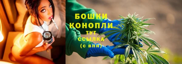 сатива Абаза