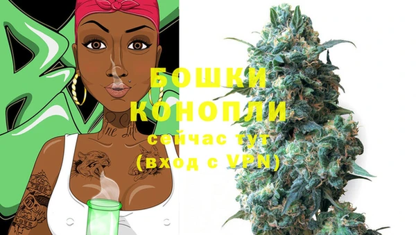 spice Протвино